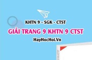 Giải KHTN 9 trang 9 Chân trời sáng tạo SGK